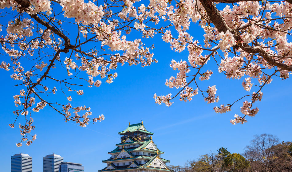 Osaka castle, Osaka, Japan