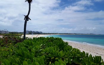 Alexandra Resort beach in the Turks and Caicos