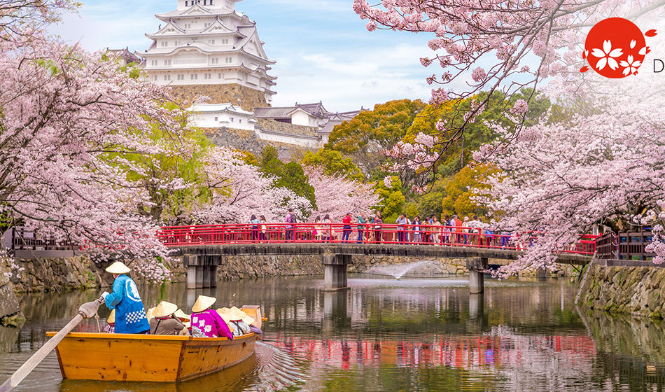 Boat ride on the moat of Himeji Castle with cherry blossoms in Japan.