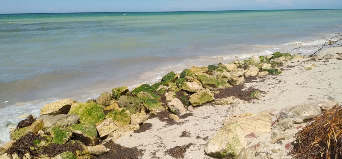 Image: Beach in San Crisanto, Yucatan, Mexico. (Photo Credit: Ar1Hkstr1/iStock/Getty Images Plus)