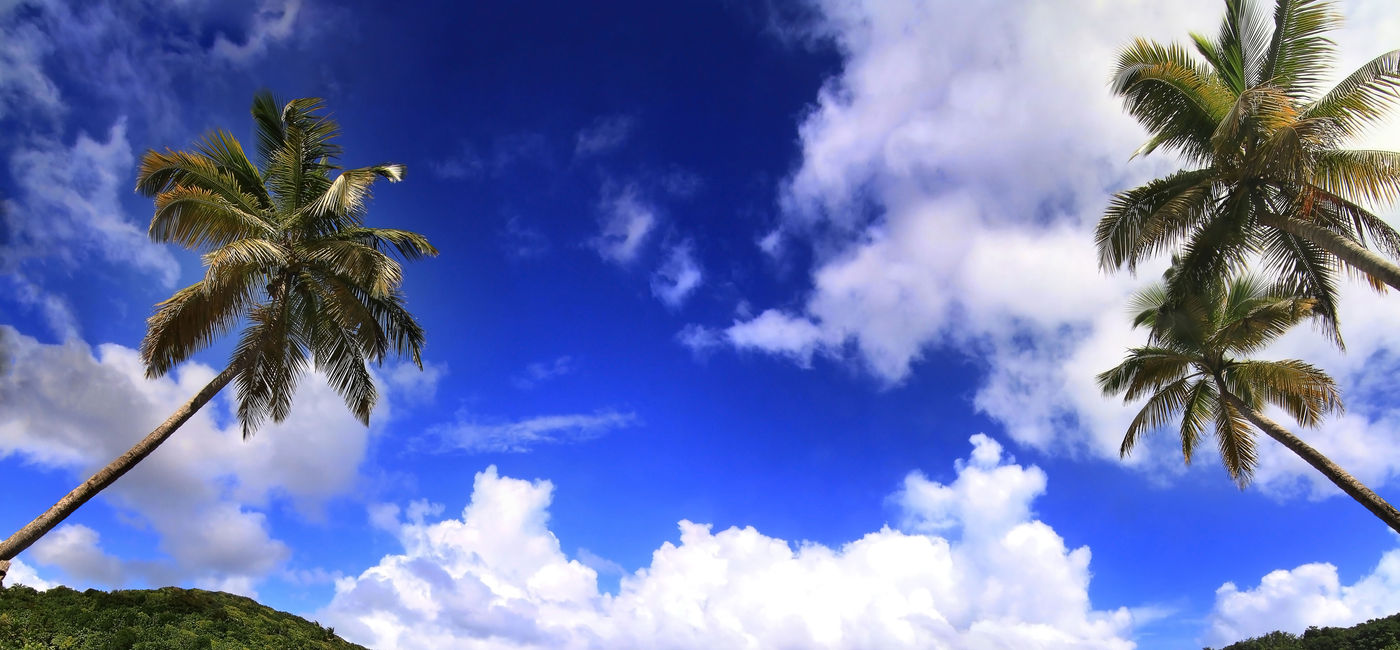 Image: Beautiful beach in Dominica (photo via gydyt0jas / iStock / Getty Images Plus)