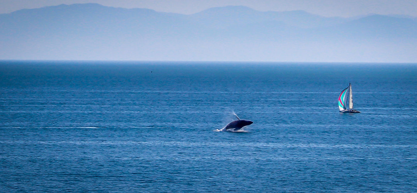 Image: PHOTO: Banderas Bay, Riviera Nayarit, Mexico. (Photo via axl5188 / Getty Images) (axl5188 via Getty Images)