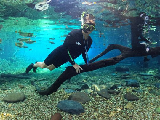 Brazil, snorkeling, Embratur