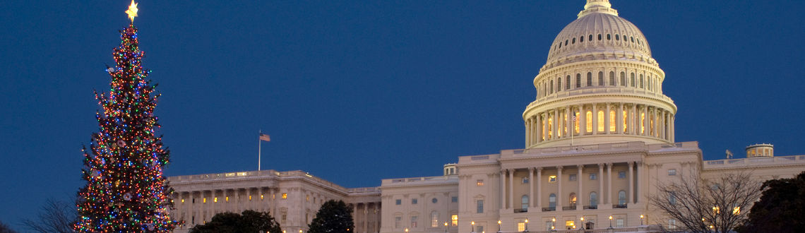 Christmas, holidays, tree, National Mall, Capitol Building, Washington DC