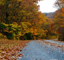 Great Smoky Mountains National Park, North Carolina